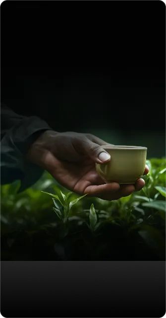Imperial Teas